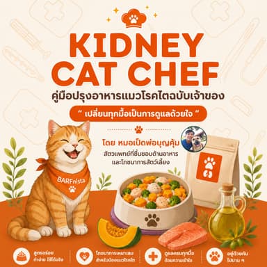 Kidney Cat Chef